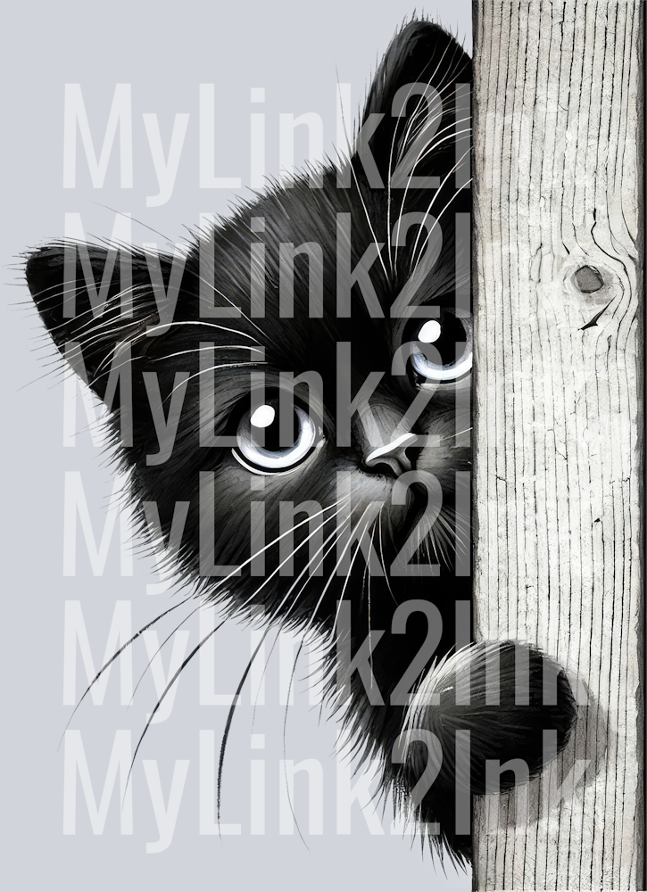 Peeking Black and White Cat 8