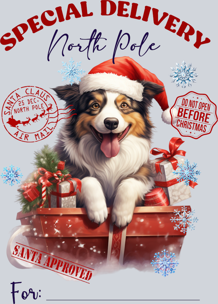 special-delivery-north-pole-dog