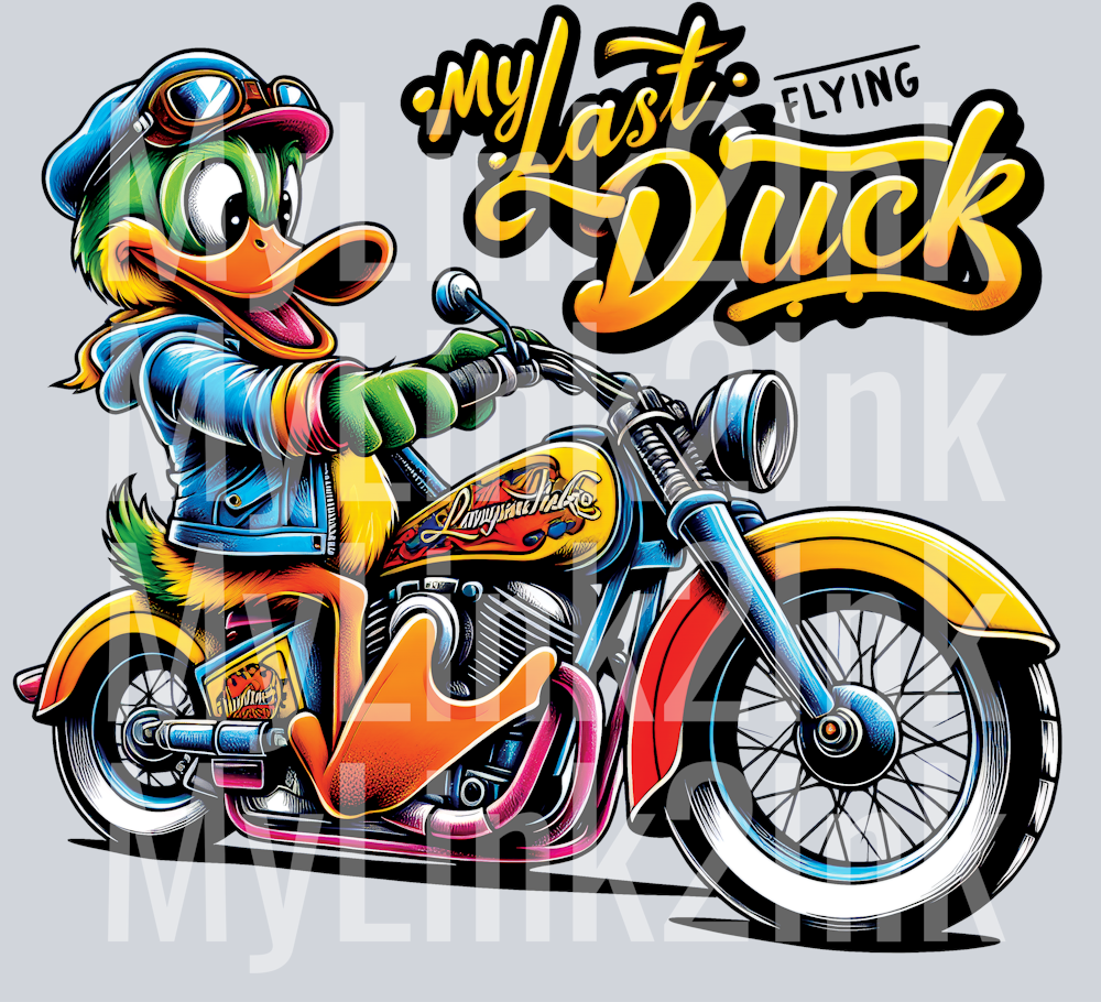 my-last-flying-duck2