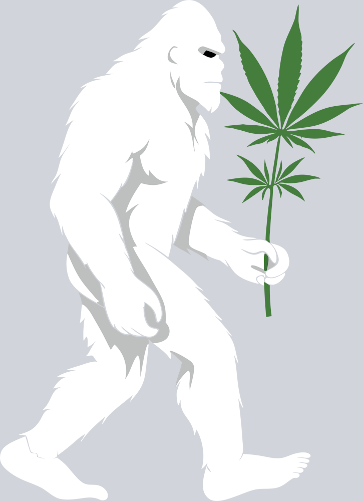 Bigfoot Cannabis