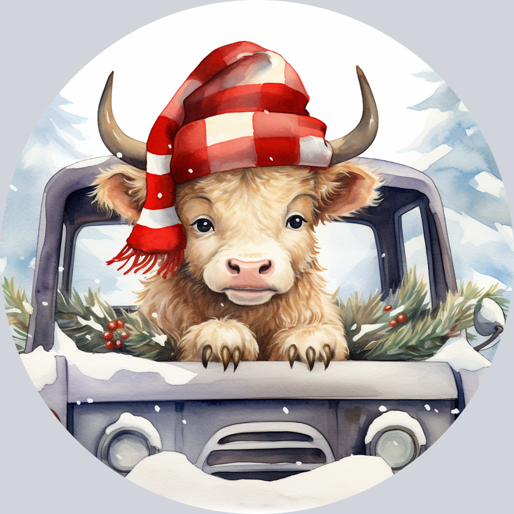 Highland Cow in Christmas Truck
