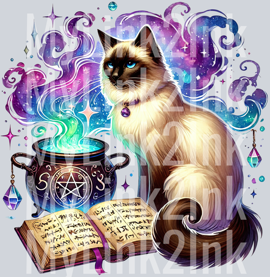 Book Cat 7
